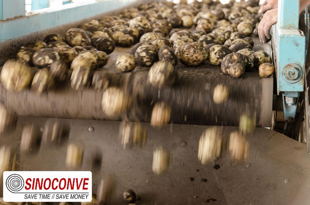 Conveyor Belt Quick Reference: Roll Length, Splice & V-Belt Formulas