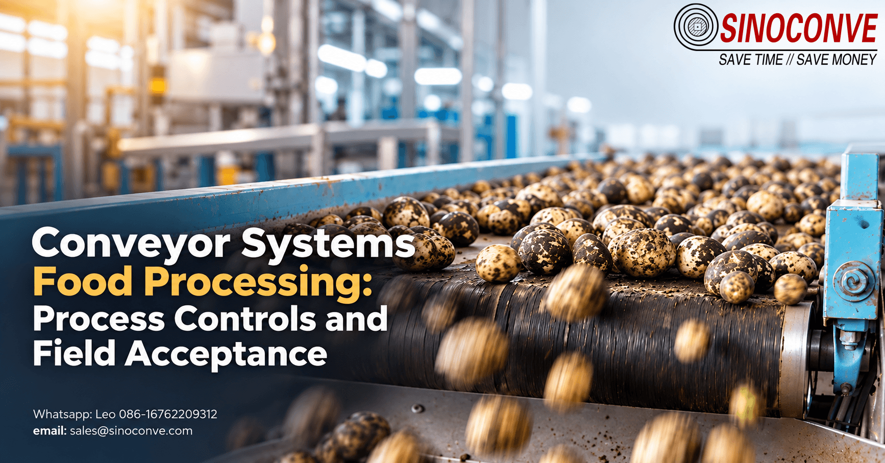 Conveyor Systems Food Processing: Process Controls and Field Acceptance